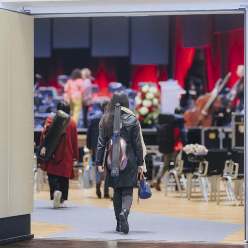 Young Person entering an Opera