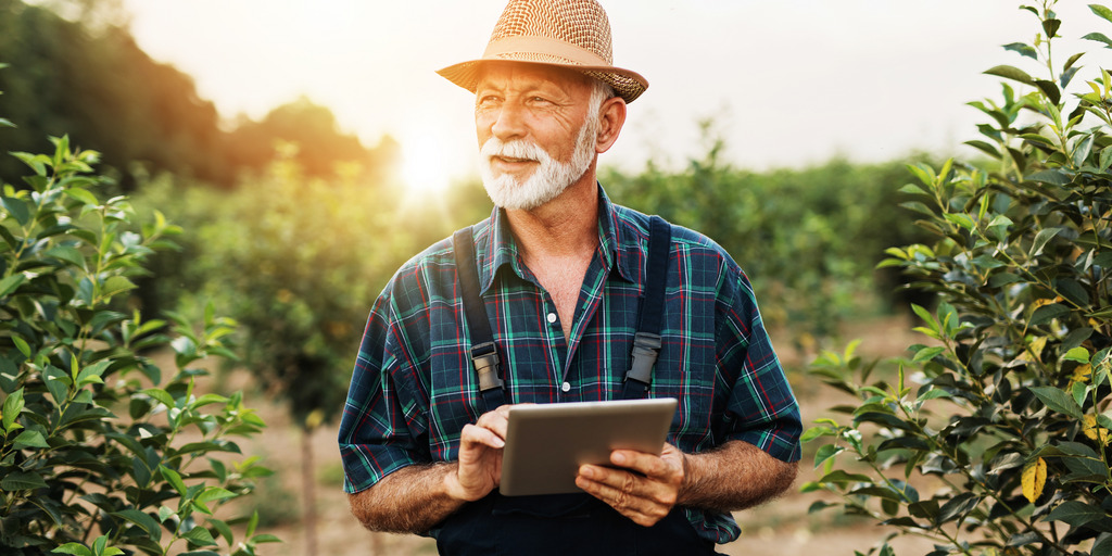 Ein Landwirt steht in einem Feld und hält ein Tablet in der Hand