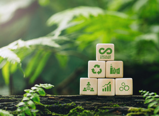 Grüner Hintergrund mit Circular Economy Würfeln