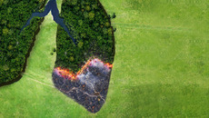 shutterstock_2017901063_Premier_ST-MT.jpg(© © bearbeitet: Shutterstock / Alones)