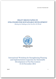 Cover Draft Issues Paper on Strategies for Sustainable Development