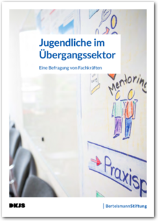 Cover Jugendliche im Übergangssektor