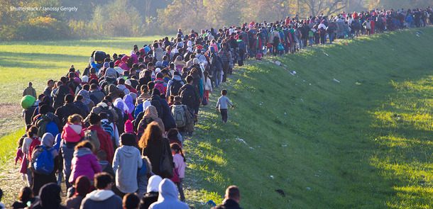 shutterstock_331912505_Premier_Redaktionell_2.jpg_ST-EZ(© Shutterstock / Janossy Gergely)