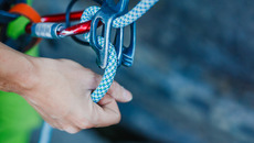 shutterstock_552773872_Premier_ST-MT_bear.jpg(© Shutterstock / Olga Danylenko)