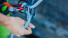 Shutterstock / Olga Danylenko