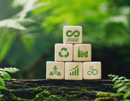 Das Bild zeigt fünf Holzbausteine, die eine Pyramide bilden. Auf den Würfeln sind grüne Symbole zu Themen der Kreislaufwirtschaft abgebildet – etwa Recycling, Industrie, Wachstum und Zusammenarbeit. Im Hintergrund ist sattes Grün mit Farnblättern zu sehen, das den Nachhaltigkeitsaspekt unterstreicht.