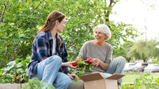 iStock-2161192592_MPL_ST-CC(© <p>© Getty Images/iStockphoto/SDI Productions</p>)