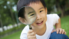 Tom Wang / Shutterstock Images