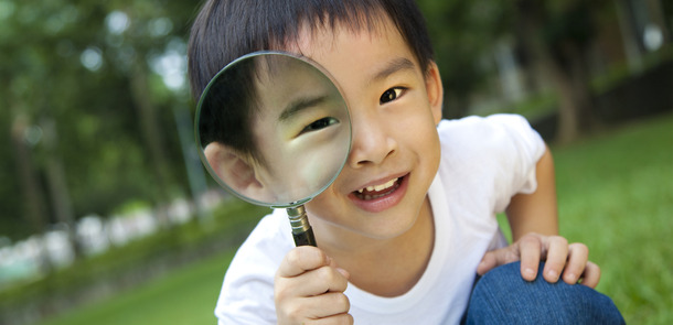 Tom Wang / Shutterstock Images