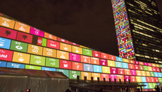 (© <p>ipopba - stock.adobe.com</p>)