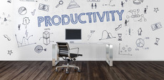 Project Produktivität für Inklusives Wachstum