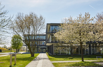 Auf dem Foto sieht man das Gebäude der Stiftung. Es führt ein Weg zum Haupteingang. Links und rechts stehen Bäume auf Rasen.