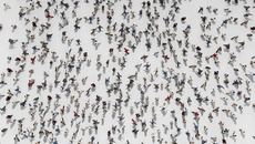 iStock_000019164839_XXXL_MPL.jpg ST-EZ(© Hayri Er / iStockphoto.com)