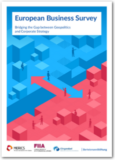 Cover European Business Survey — Bridging the Gap between Geopolitics and Corporate Strategy