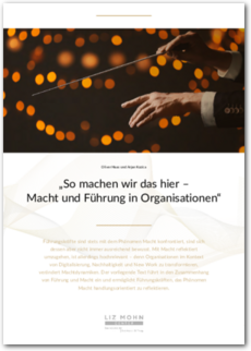Cover "So machen wir das hier - Macht und Führung in Organisationen"