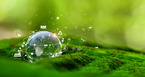 Circular Economy