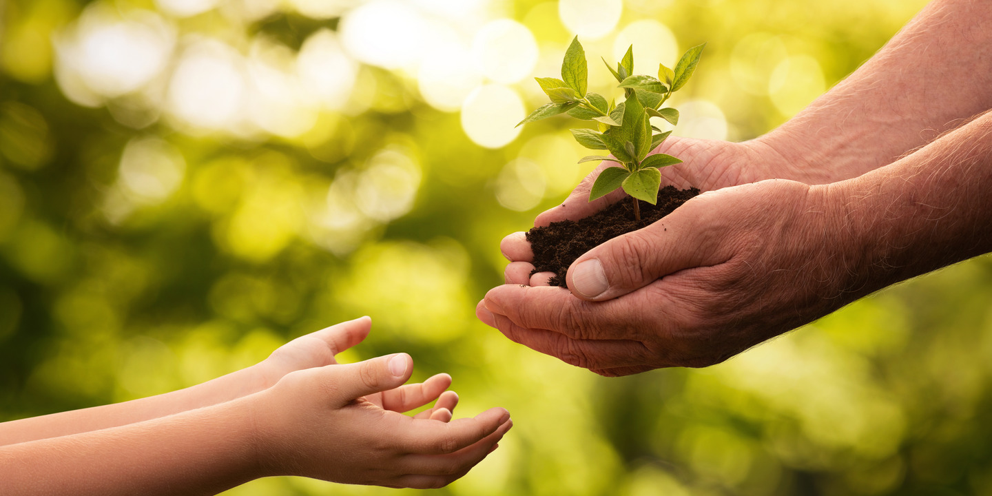 handing over a small green plant in front of a green blurred background