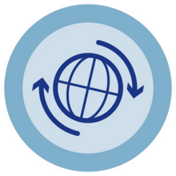 Icon Migration und Integration