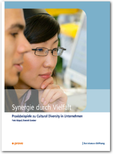 Cover Synergie durch Vielfalt                                                                                