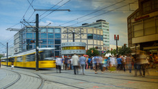 © Bote - stock.adobe.com