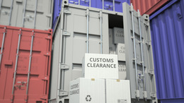 Boxes with goods and cargo containers. National economy related conceptual 3D. Cardboard boxes with Customs clearance text and cargo containers