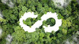 green background with a white infinity symbol