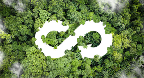 green background with a white infinity symbol