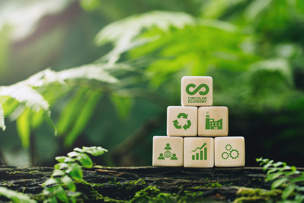 AdobeStock_534285717_KONZERN_ST-W(© <p>© Pcess609 - stock.adobe.com</p>)