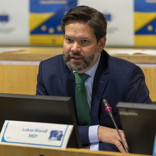 Lukas Mandl, MEP