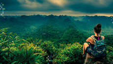 Web OrientierungKompetenzdsch 2 2025(© © Krzysztof Wiktor - stock.adobe.com)