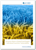 Cover Ukraine’s Role in Global Food Supply: Individual Countries’ Vulnerability