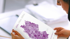 iStockphoto / sellen