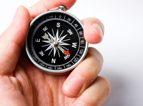 shutterstock_54749959_1240x600px(© hxdbzxy / Shutterstock Images)