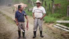 shutterstock_61231897.jpg(© CREATISTA / Shutterstock Images)