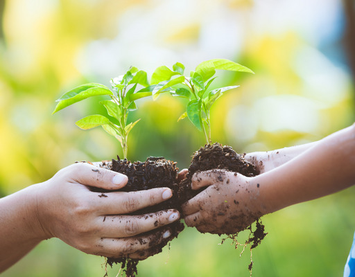 An adult and a child each hold a small plant with soil in their hands and pass them to one another. The scene takes place outdoors in soft sunlight.