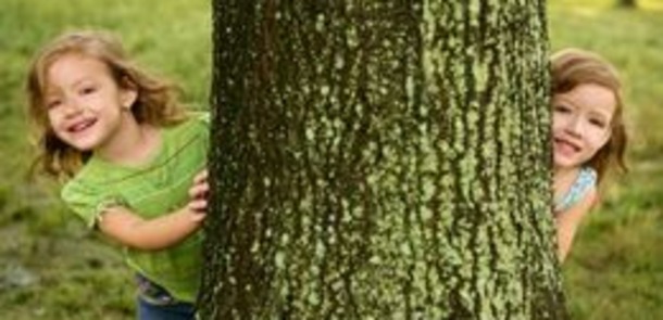 Quelle: holbox - Shutterstock Images