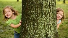 Quelle: holbox - Shutterstock Images