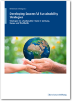 Cover Developing Successful Sustainability Strategies - Strategies for a Sustainable Future in Germany, Europe and Worldwide