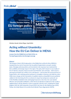Cover Acting without Unanimity: How the EU can deliver in the Middle East and North Africa Region