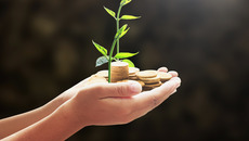 shutterstock_253698097_Premier.jpg_ST-K(© Shutterstock / CHOATphotographer)