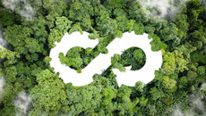 AdobeStock_529409931_KONZERN_ST-W(© © Deemerwha studio - stock.adobe.com)