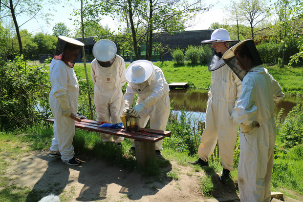 Unterricht mal anders: Schüler üben sich im fachgerechten Umgang mit Bienen und Honig.