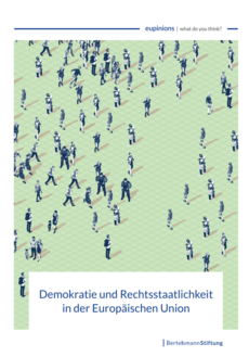 Cover Demokratie und Rechtsstaatlichkeit in der Europäischen Union