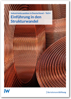 Cover Einführung in den Strukturwandel