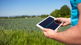 Auf dem Foto sind zwei Hände zu sehen, die ein Tablet halben. Im Hintergrund ist ein grünes Feld zu sehen.