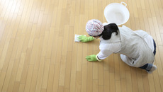 shutterstock_229362268_Premier.jpg_ST-K(© Shutterstock / kazoka)