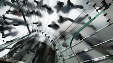 pixabay_spiral-699158.jpg(© StockSnap/pixabay.com - CC0, Public Domain, https://creativecommons.org/publicdomain/zero/1.0/deed.de)