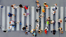 iStock-1172741523_MPL_ST-IB_2_WEB.jpg(© © Getty Images/iStockphoto/Dmytro Varavin)