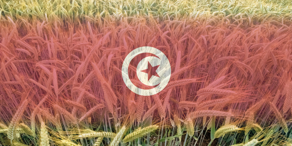 [Translate to English:] Bildmontage - Weizenfeld, auf das die tunesische Flagge projiziert wurde