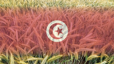 AdobeStock_361654509_KONZERN_ST-EZ_bearb.jpg(© © 24K-Production/dikobrazik - stock.adobe.com)